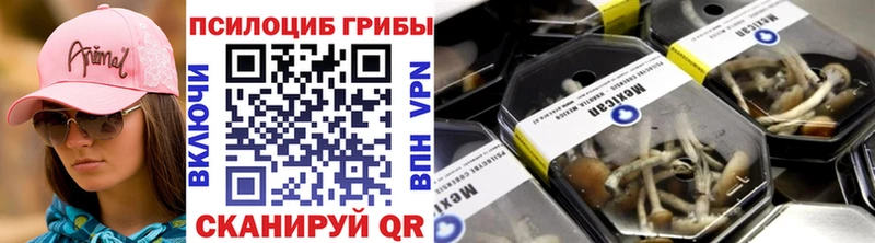 Галлюциногенные грибы мицелий  Купить закладки  Рубцовск 